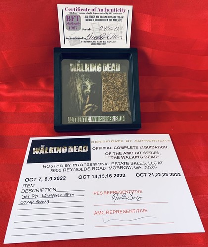 The walking dead authentic - the,
